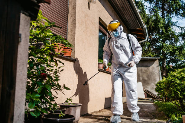 Best Affordable Exterminators  in Nashua, NH