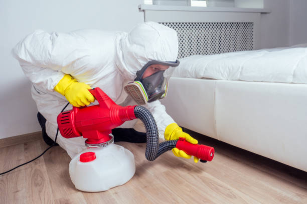 Best Pest Removal Services  in Nashua, NH