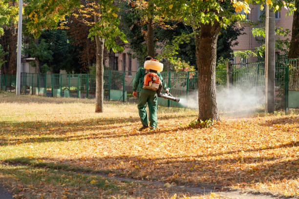 Best Commercial Pest Control Services  in Nashua, NH