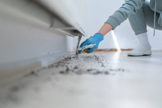 Best Pest Inspection Near Me  in Nashua, NH